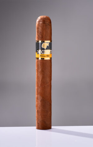 Cohiba 高希霸 Siglo VI 世纪六