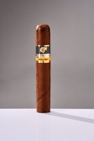 高希霸 罗布图 Cohiba Robusto